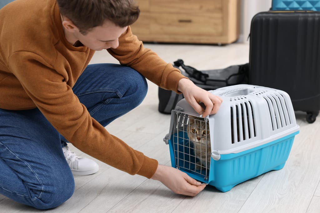 A man preparing a cat in a travel carrier beside packed luggage