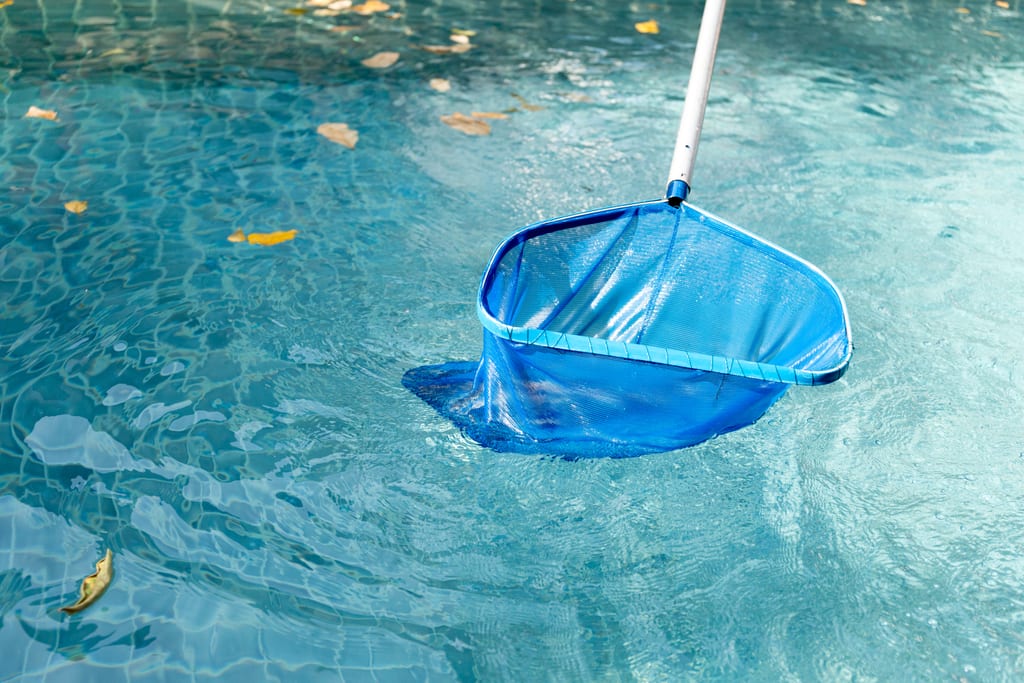 A blue skimmer net among leaves floating on swimming pool water