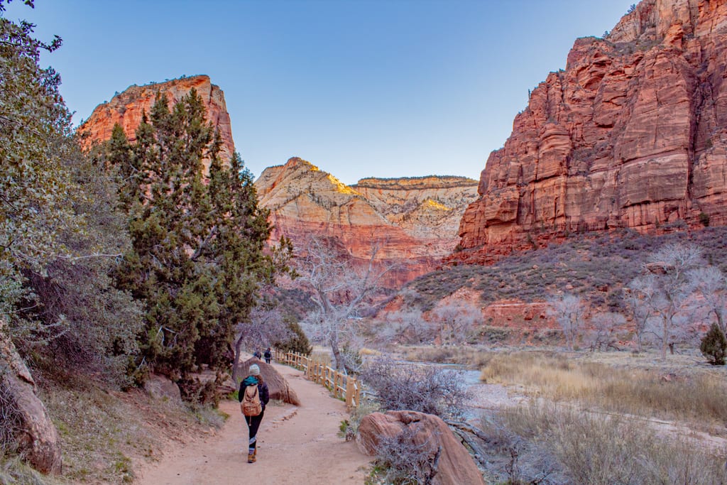 A hiker following a trail beneath red cliffs in Zion National Park.