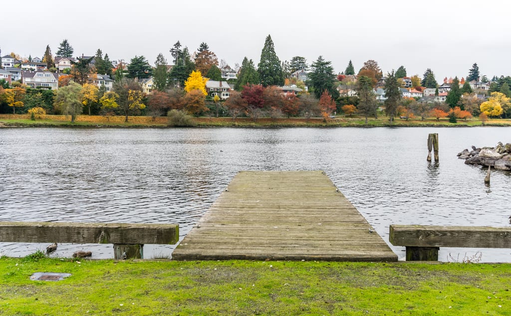 A wooden dock facing waterfront homes and autumn trees on Lake Washington